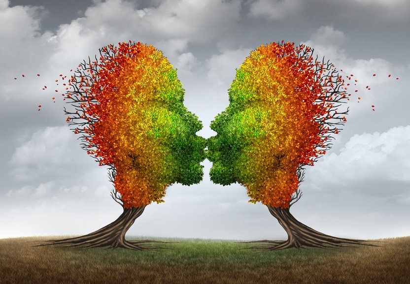 Fotolia_91805203_S Fotolia_91805203_S